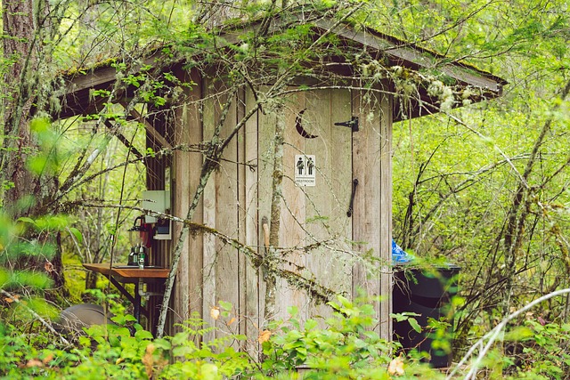 Une porte de toilettes, dans les bois. On devine que la personne qui occupe les toilettes souffre de constipation et bénéficierait d’un massage.